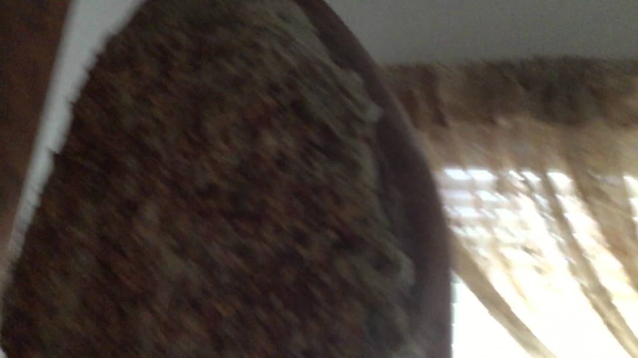 Prosciutto update part B the lost footage YouTube