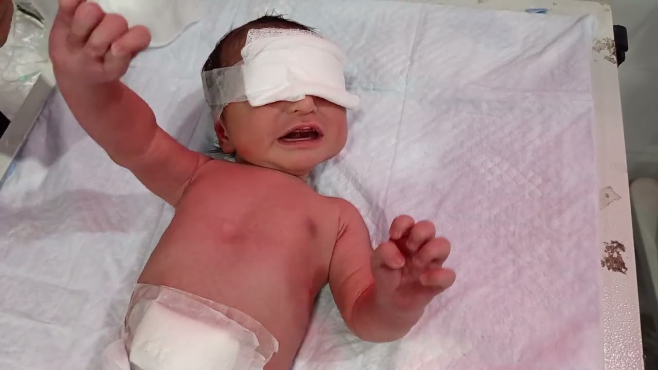 Bottle Feeding Tutorial for Beginners