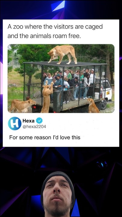 A Zoo Where The Visitors Are Caged meme zoo safari YouTube a-zoo-where-the-visitors-are-caged-meme-zoo-safari-youtube