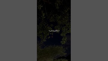 #القارئ ماهر المعيقلي/ قرآن كريم