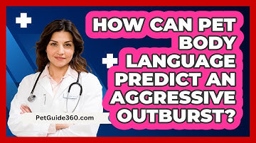 How Can Pet Body Language Predict An Aggressive Outburst? - PetGuide360.com