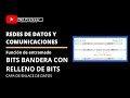 BITS BANDERA CON RELLENO DE BITS | FUNCION DE ENTRAMADO | MODELO TCP/IP | CAPA DE ENLACE DE DATOS