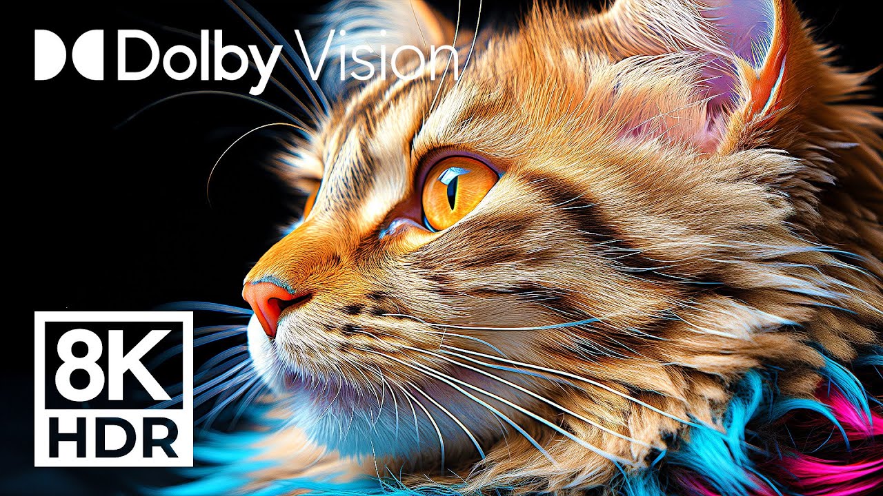 ⁣BRILLIANT WILDLIFE DOLBY VISION® 8K HDR (2024)