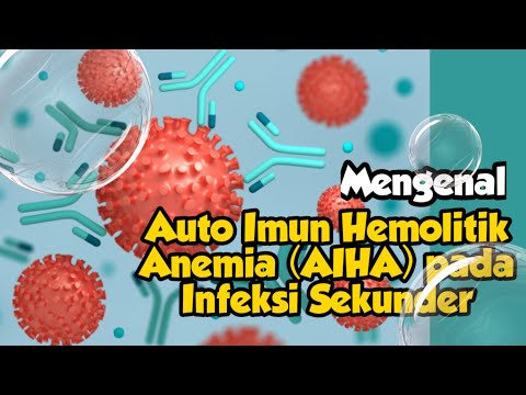 Autoimun hemolitik Anemia (AIHA) pada Infeksi Sekunder