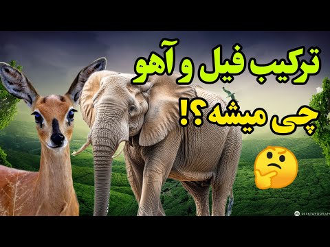 بنظرتون ترکیب فیل و آهو چه حیوونی میشه