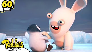 RABBIDS INVASION | 1H The Rabbids Meet the Penguins ! | Cartoon for kids | Animaj Kids