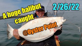 A big hallibut caught at Oyster Point, San Francisco Bay.