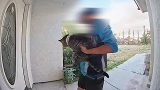 Where is Junie? Search continues for cat gone missing amid Amazon delivery
