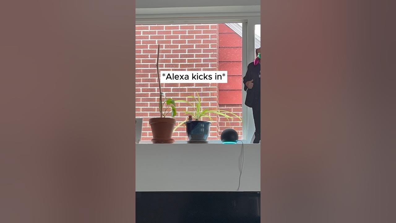 How to pair alexa with your eufy video smart lock alexa eufy 