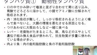 鉄不足と鉄欠乏性貧血を改善するために大切な栄養