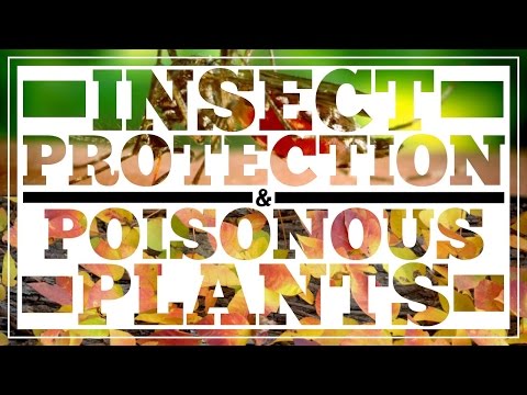 Insect Protection & Poisonous Plants - CleverHiker.com