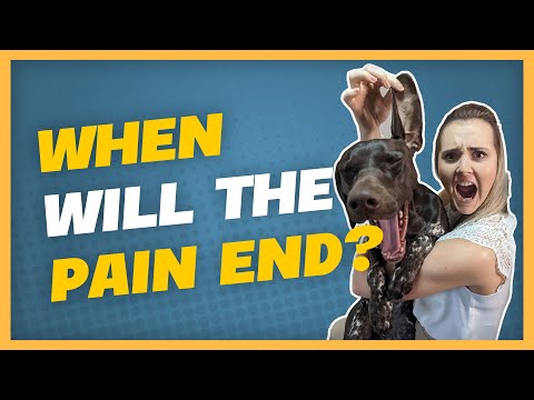 WHEN WILL THE PAIN END? BTC, ETH & MORE