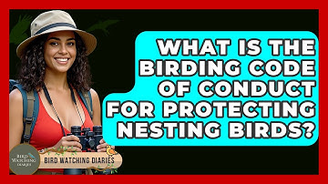 What Is The Birding Code Of Conduct For Protecting Nesting Birds? - Bird Watching Diaries