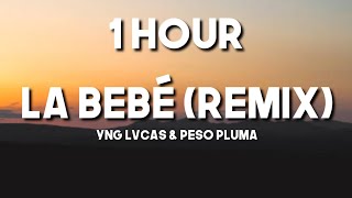 Yng Lvcas \& Peso Pluma - La Bebe Remix [1 Hour] (Letra\/Lyrics)@pesopluma_oficial @Yng_lvcas