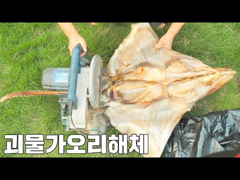 괴물가오리 전기톱으로 해체하기 [ 공대생가족 ]