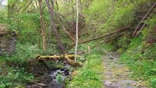 (4K) Climbing Cogollo Peak (Langreo's Highest Peak), Langreo, Asturias | Hiking Spain #hiking