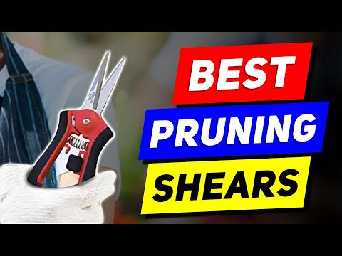 Top 5 Pruning Shear Picks in 2023