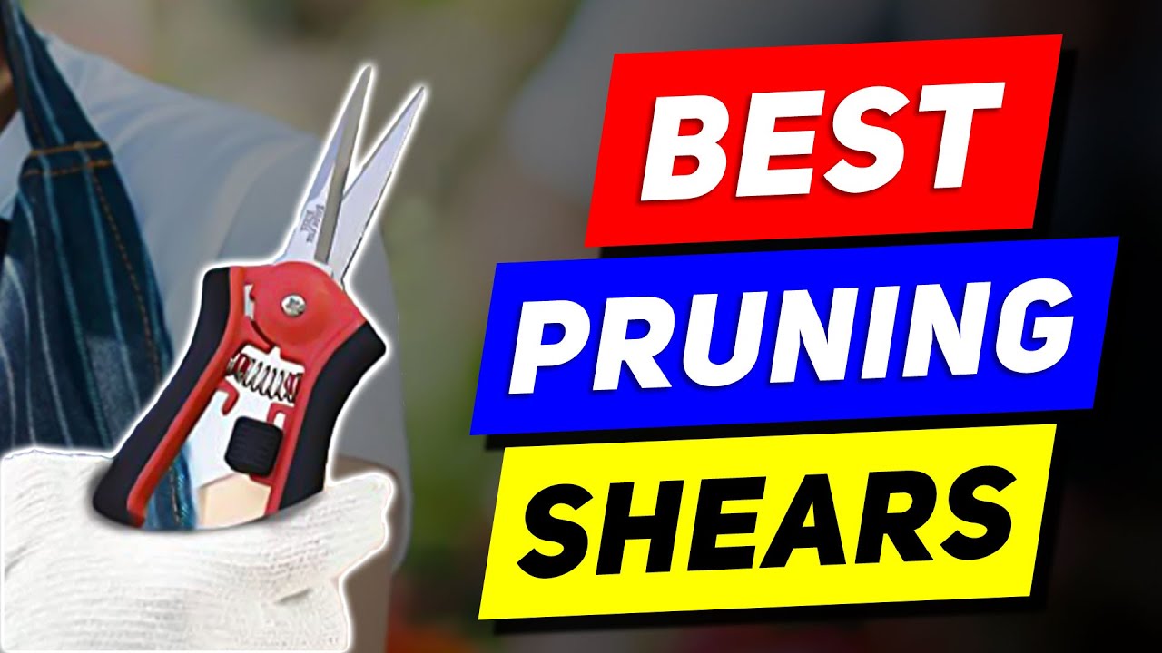 Best Pruning Shears 🏆 Top 5 Pruning Shear Picks In 2022