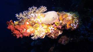 Teshio Maru