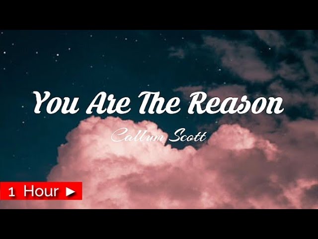 YOU ARE THE REASON  |  by CALUM SCOTT  [ 1 HOUR LOOP ] nonstop