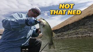 Not Your Ned Rig | Bass Fishing
