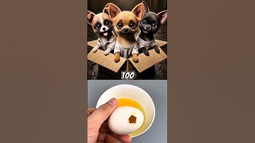 When You Adopt A Chihuahua #ai #chatgpt #memes