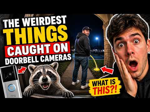 The Weirdest Things Ever Caught on Doorbell Cameras