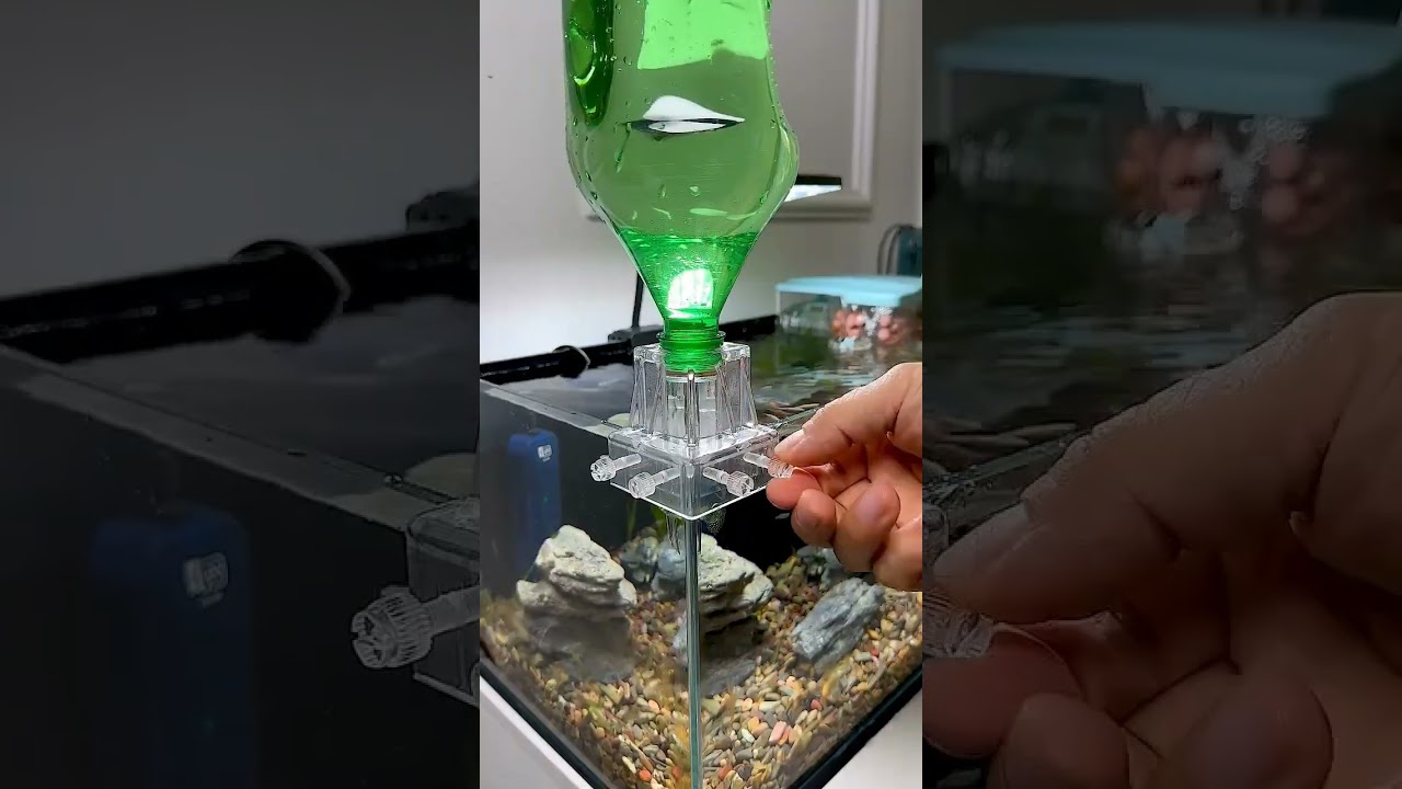 BEST Way ecosystem Fishtank 🐟 