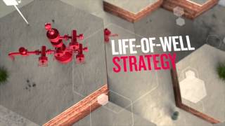 PRODUCTION OPTIMIZATION CONSULTING Profile