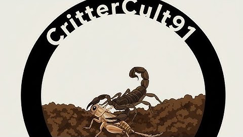 we drove a bit far for today