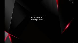 Smiley & Delia -Ne vedem noi(Slowed+Reverb)