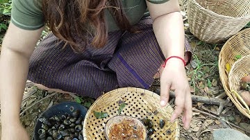 Primitive Technology - cooking quails and eating delicious