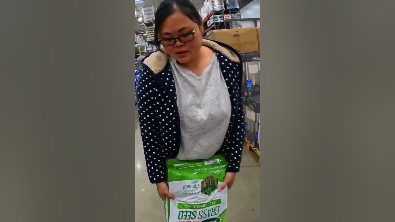Getting Grass Seed at Costco YouTube