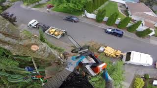 Crazy Close Call  Tree Topping Near Miss