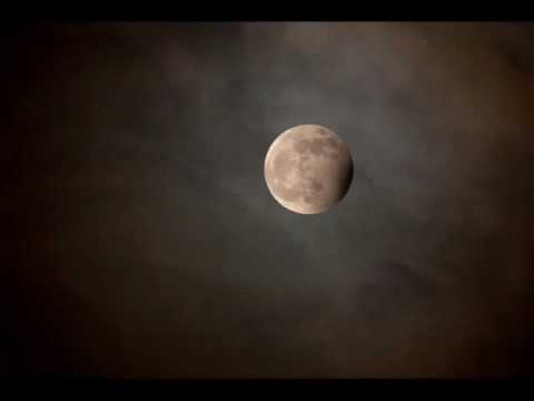 The Fountain: The Last Man - Clint Mansell