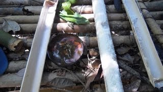 Making Cooking Utensils from Bamboo / Kochen mit Bambus (Jungle Survival Philippines)