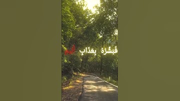 #قرآن #قران_كريم #محمد_اللحيدان محمد اللحيدان سورة الجاثية