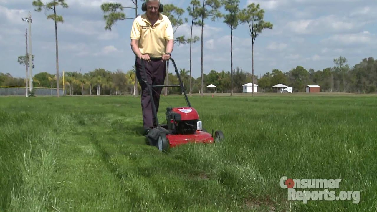 Lawn Mower Buying Guide