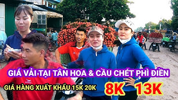 GIÁ VẢI BUỔI SÁNG 28.06.2023 TẠI NGÃ BA TÂN HOA, VÀ CẦU CHÉT PHÌ ĐIỀN