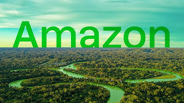 BeZero in the Amazon | Deforestation & Climate Action