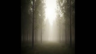 Easeout 2 – 30 Seconds of Ambient Guitar