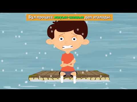 Бейне: Балаларға су айналымын қалай түсіндіресіз?