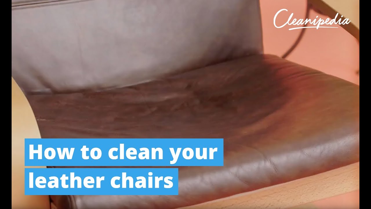 How to clean leather chairs  Cleanipedia