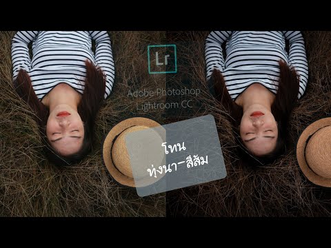 แต่งภาพด้วยมือถือง่ายๆ โทนที่13 ทุ่งนา-สีส้ม โดยLightroom cc