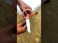 The Most Effective Tarp Corner Knot Ever! #knot