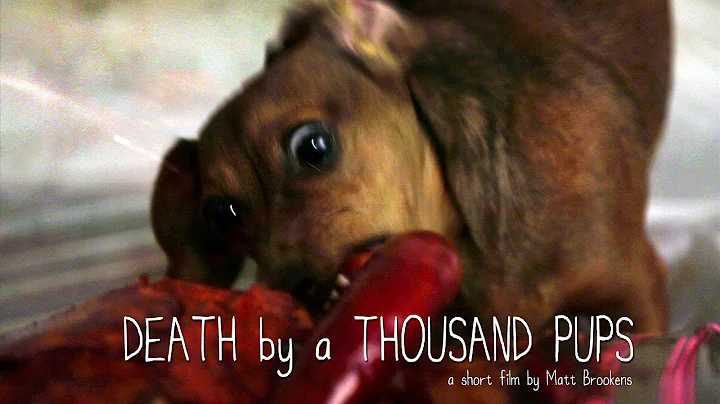 Death By A Thousand Pups