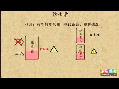 03油脂和维生素  化学与生活  初中化学