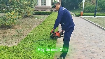 Máy Tỉa Cành 2 Thì BOOYOUNG | Lưỡi Đôi 600mm – Nhẹ 6kg – Cắt Cành Cực Ngọt