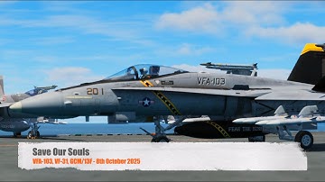 DCS: F/A18C - 3rd Wing - Save Our Souls