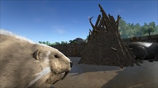 [FR] Ark Survival Evolved - Ep 064 - Ferme à barrage de castors géants (beaver dam farm)